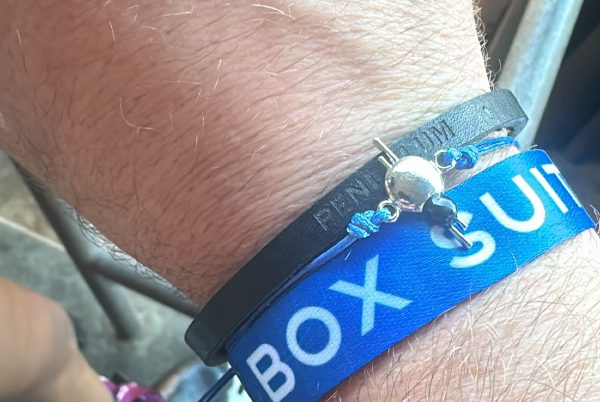 WORLDS AWAY FESTIVAL VIP WRISTBAND, FRIENDSHIP BRACELET, BOX SUITE WRISTBAND PIC